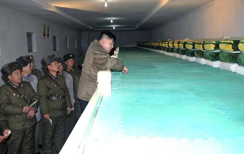 Illustration for article titled North Korea's New Dictator...Looking at Things